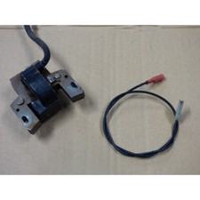 Bobine allumage moteur d'occasion Bobine allumage moteur d'occasion  Auxonne