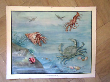 Vintage school educational for sale  LONDONDERRY