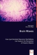Brain waves how gebraucht kaufen  München