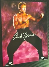 Chuck norris signed for sale  Bolingbrook