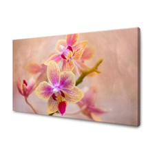 Canvas leinwandbilder xxl gebraucht kaufen  Großröhrsdorf