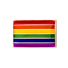 Regenbogen flagge als gebraucht kaufen  Dassow
