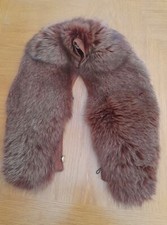Real arctic fox for sale  GRANTHAM