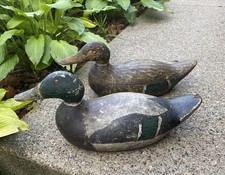 mallard decoys for sale  New London