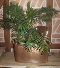 Ancien rare bain d'occasion  Arcis-sur-Aube