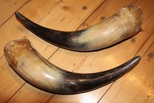 wikinger trinkhorn gebraucht kaufen  Sonthofen