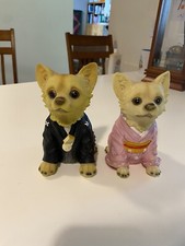 Aye chihuahua japanese d'occasion  Expédié en Belgium