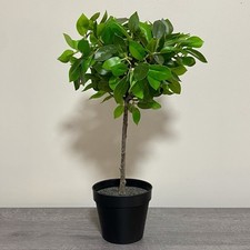 Kejka artificial potted for sale  ELY