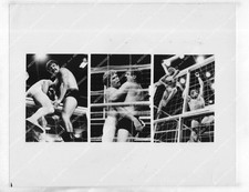 o48187 1977 foto original Alex Karras, Steve Sandor luta livre TVM Mad Bull orp-4818, usado comprar usado  Enviando para Brazil