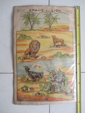 Affiche chasse lion d'occasion  La-Grande-Motte