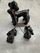 Pudel welpen schwarz gebraucht kaufen  Gießen