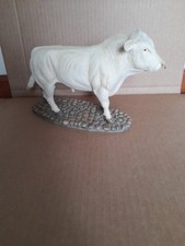 Sherratt simpson charolais for sale  CAMBORNE