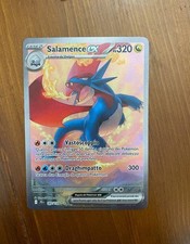 Salamence avventure insieme usato  Casorate Primo