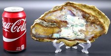 Large outstanding indonesian for sale  Miami