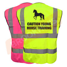 Equine viz vis for sale  LEICESTER