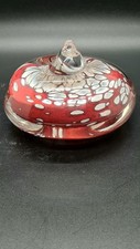 marine snails for sale marine snails for sale NORTHAMPTON