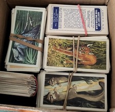 Large lot tea for sale  COLCHESTER