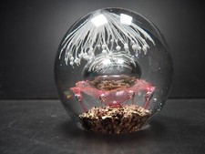Heavy glass paperweight for sale  STOKE-ON-TRENT