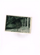 Ansichtskarte 1945 sächs gebraucht kaufen  Glauchau