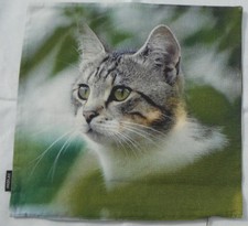 Proflax kissenbezug katze gebraucht kaufen  Bonn