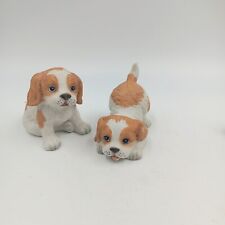 Cocker spaniel brittany for sale  Jacksboro