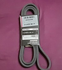 Motore cinghia poly usato  Rimini