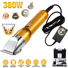 Electric professional dog for sale  Corona