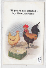 Donald mcgill hen for sale  WELLS