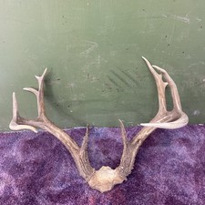 138 main frame for sale  Ellis