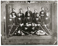Vintage hockey portage for sale  Marquette