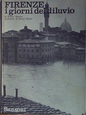 Nencini franco firenze usato  Italia