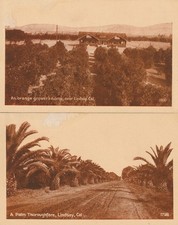 Lindsay orange grove for sale  Sonoma