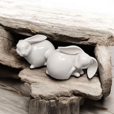 Pair white bunnies for sale  Lyons