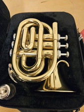 Stagg tr245s brass for sale  BROMLEY