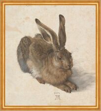 Feldhase albrecht dürer gebraucht kaufen  Grabenstätt