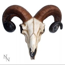 Nemesis now rams gebraucht kaufen  Versand nach Germany