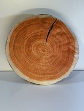 cut log for sale cut log for sale Cincinnati