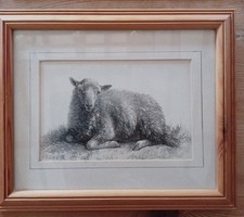 Pencil sketches depicting for sale  LOSTWITHIEL