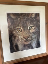 Carl brenders print for sale  LISKEARD