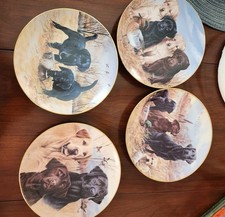 Labrador retrievers collection for sale  Manakin Sabot