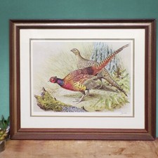 Pheasant art print for sale  LONDON