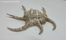 Inch harpago spider for sale  Seattle
