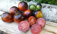 Graines tomate shadow d'occasion  Poisy