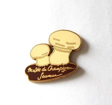Pin musée champignon d'occasion  Melesse