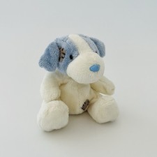Blue nose friends for sale  SWANSEA