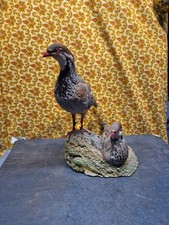 Taxidermie perdrix rouge d'occasion  Ardres