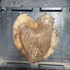 Black walnut slab for sale  Cornell