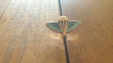Pins ailes sas d'occasion  Roanne