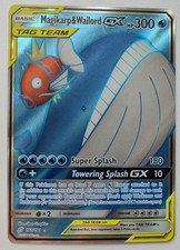 Magikarp wailord 160 gebraucht kaufen  Ennigerloh