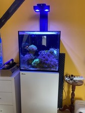 Verkaufe aquarium red gebraucht kaufen  Cottbus